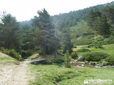 Valle del Lozoya - Camino de la Angostura;camorritos cercedilla nacimiento rio cuervo cuenca